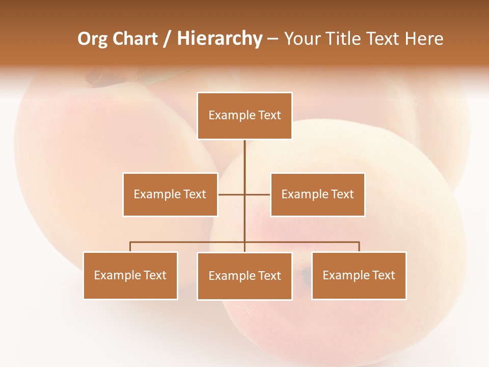 Isolated Nature Clean PowerPoint Template