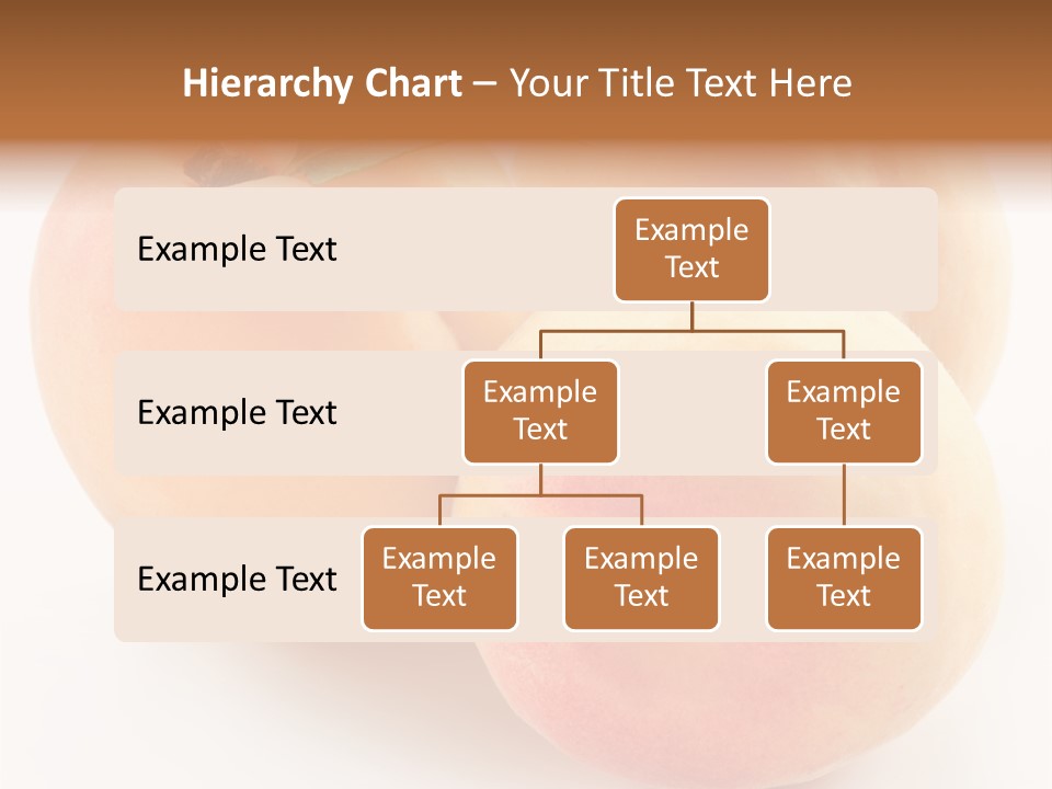 Isolated Nature Clean PowerPoint Template