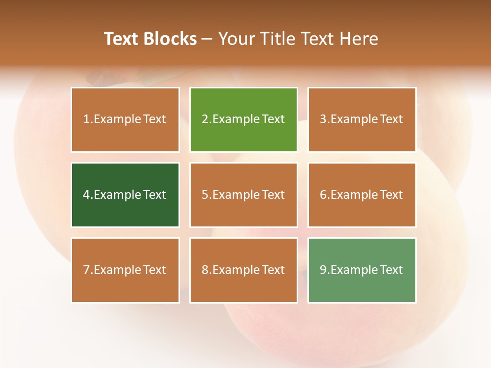 Isolated Nature Clean PowerPoint Template