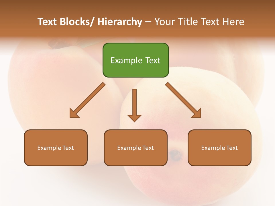 Isolated Nature Clean PowerPoint Template