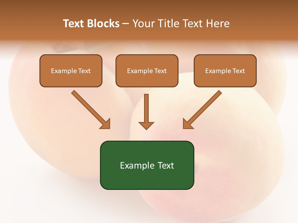 Isolated Nature Clean PowerPoint Template