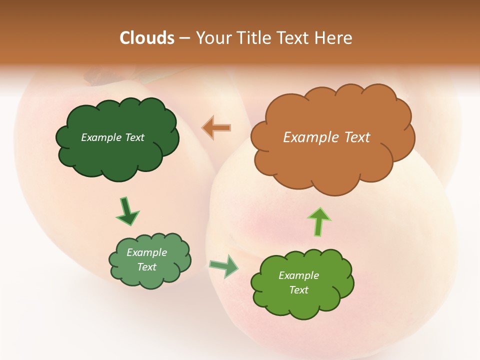 Isolated Nature Clean PowerPoint Template