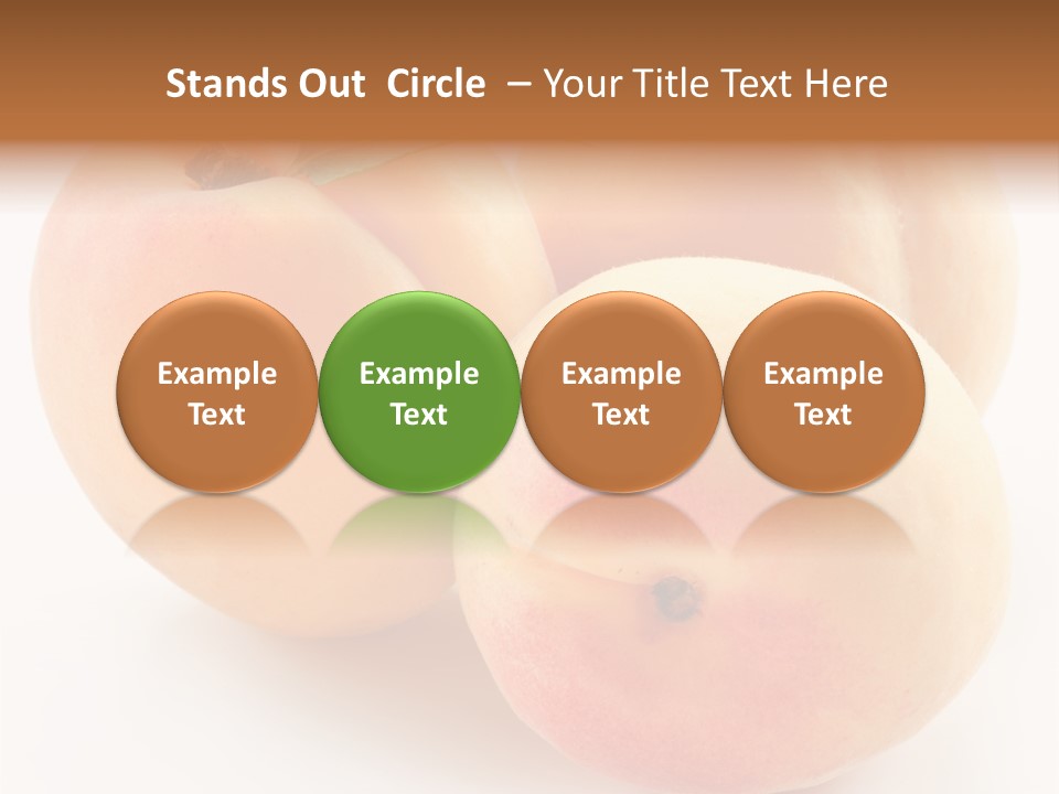 Isolated Nature Clean PowerPoint Template