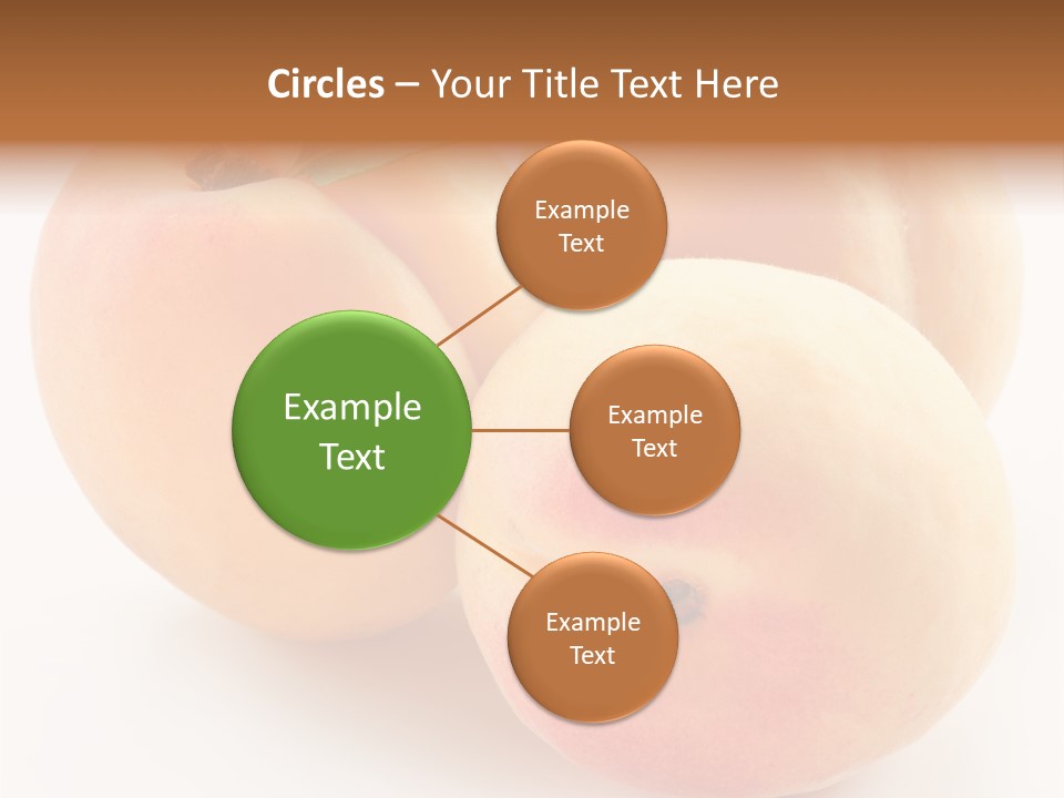 Isolated Nature Clean PowerPoint Template