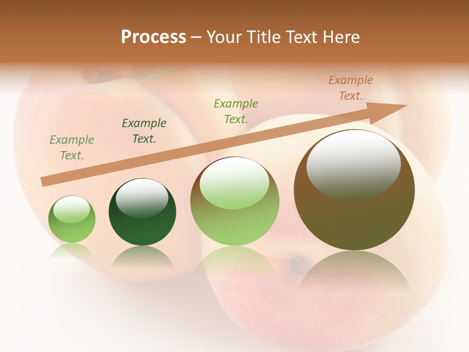 Isolated Nature Clean PowerPoint Template