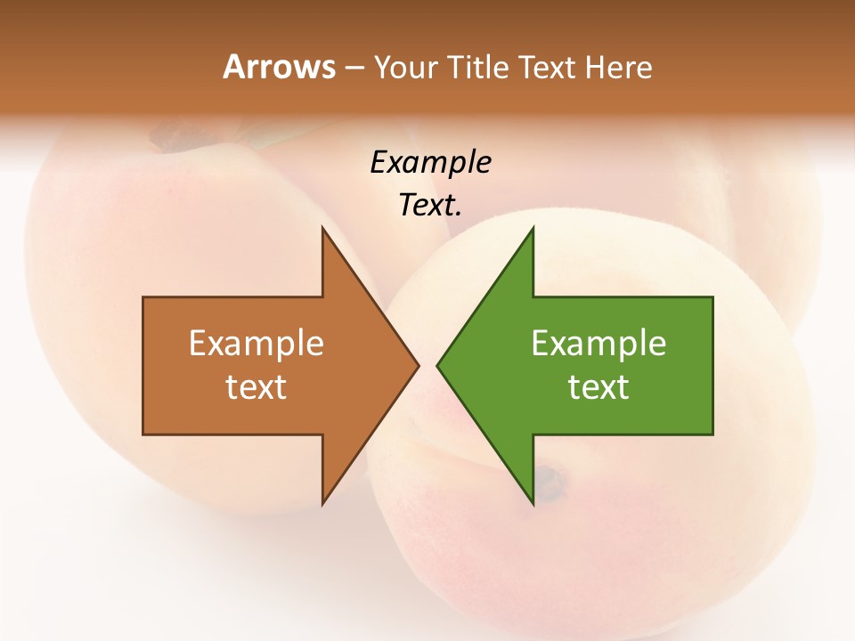 Isolated Nature Clean PowerPoint Template