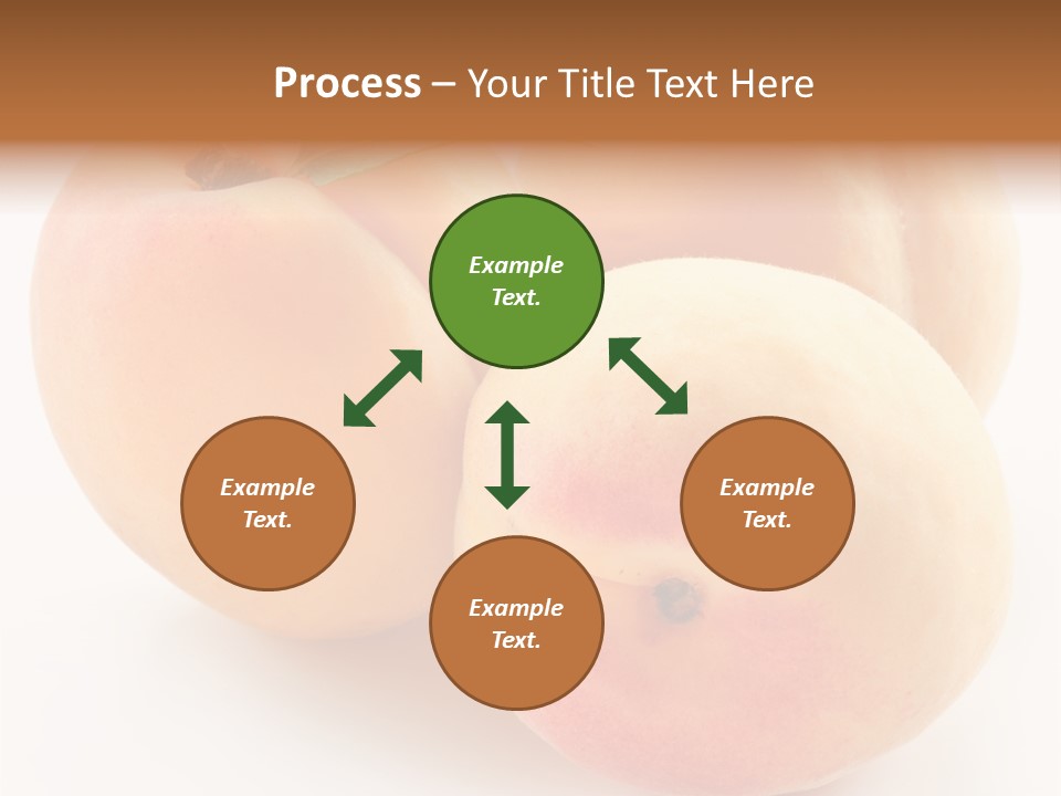 Isolated Nature Clean PowerPoint Template