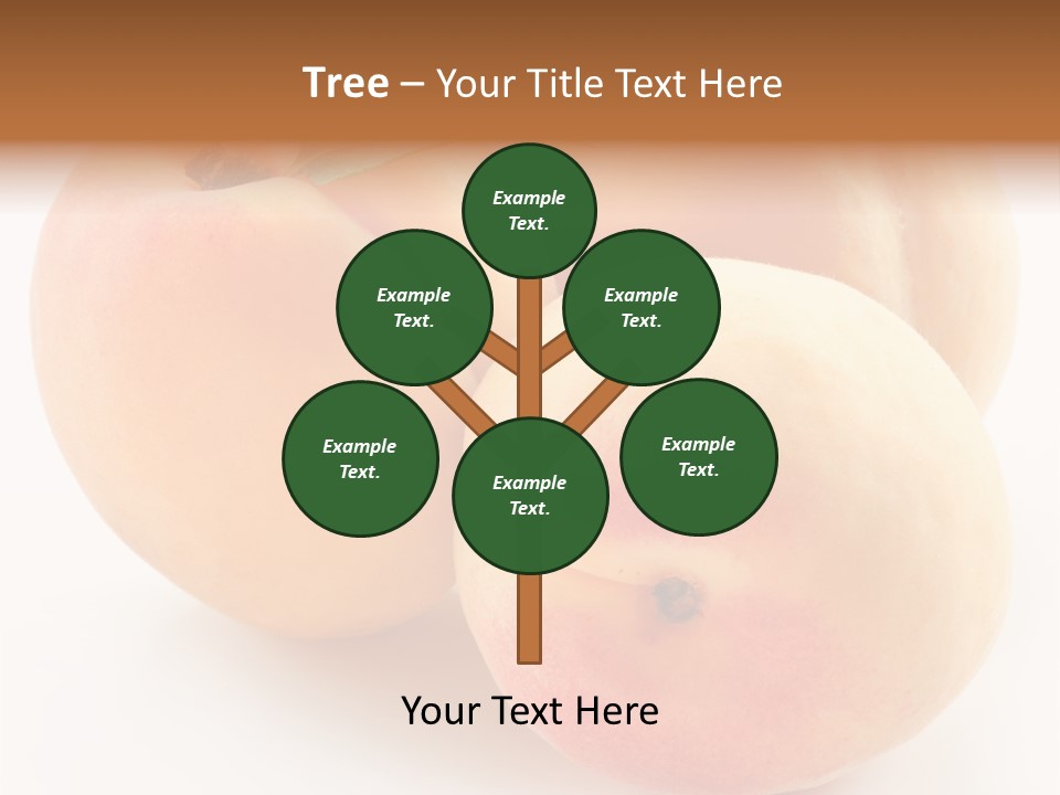 Isolated Nature Clean PowerPoint Template