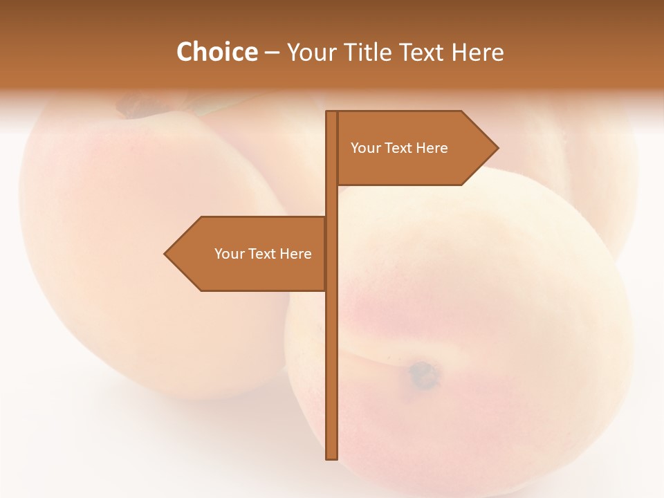 Isolated Nature Clean PowerPoint Template