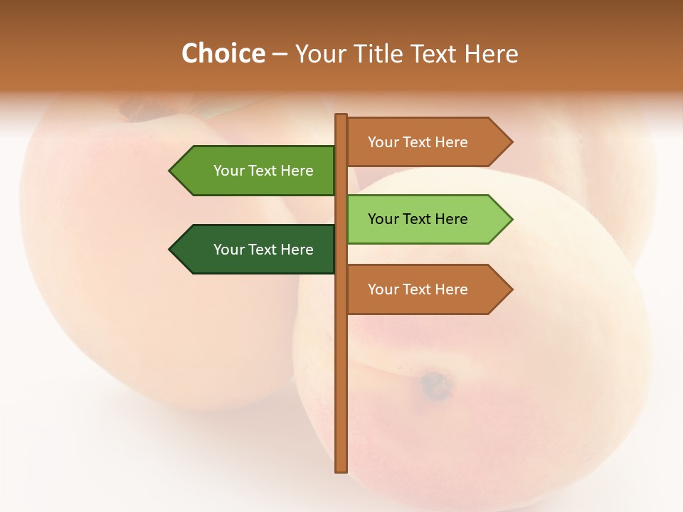 Isolated Nature Clean PowerPoint Template