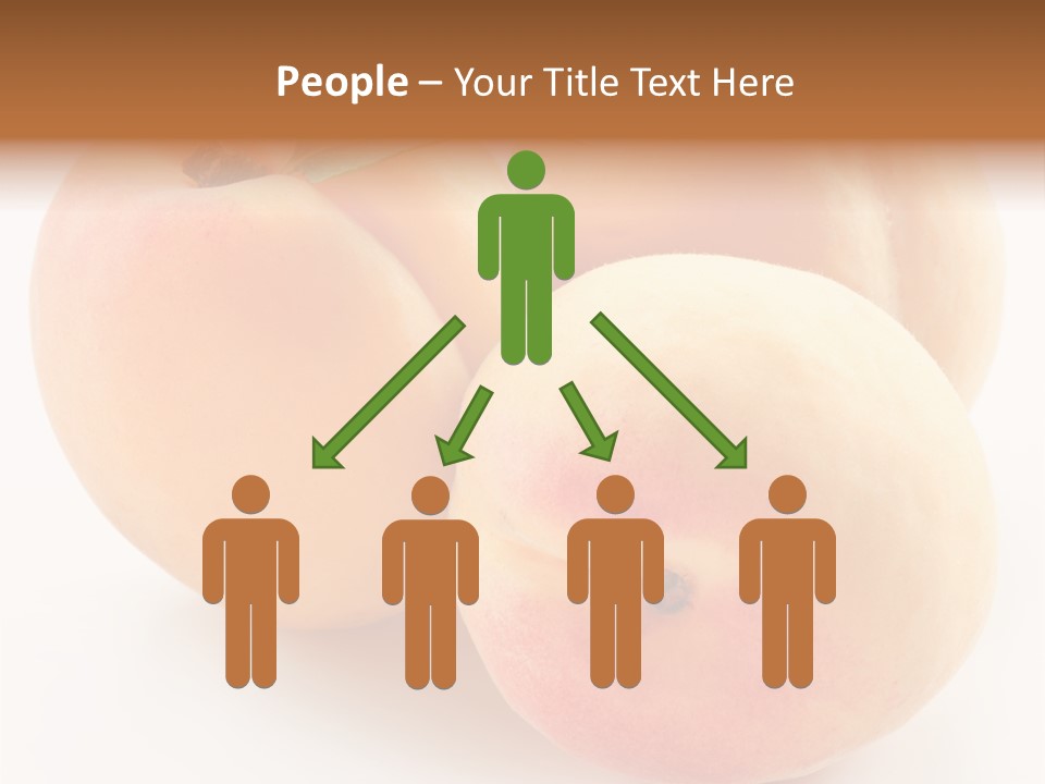 Isolated Nature Clean PowerPoint Template