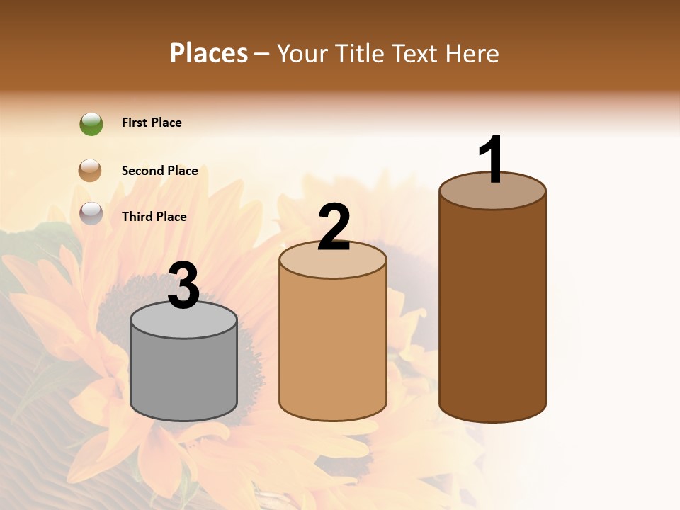 Figure Writing Conference PowerPoint Template
