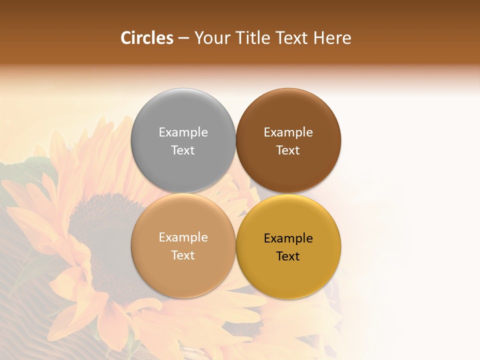Figure Writing Conference PowerPoint Template