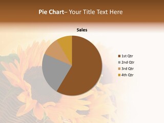 Figure Writing Conference PowerPoint Template