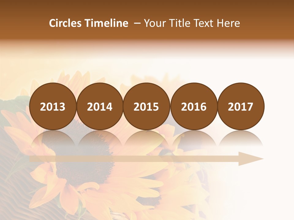 Figure Writing Conference PowerPoint Template