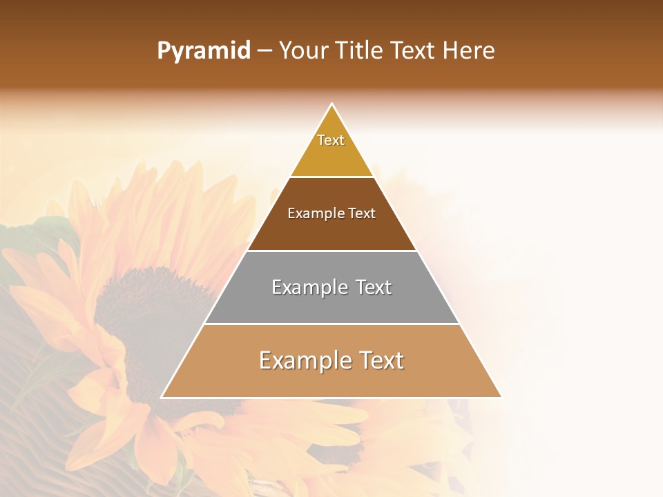 Figure Writing Conference PowerPoint Template