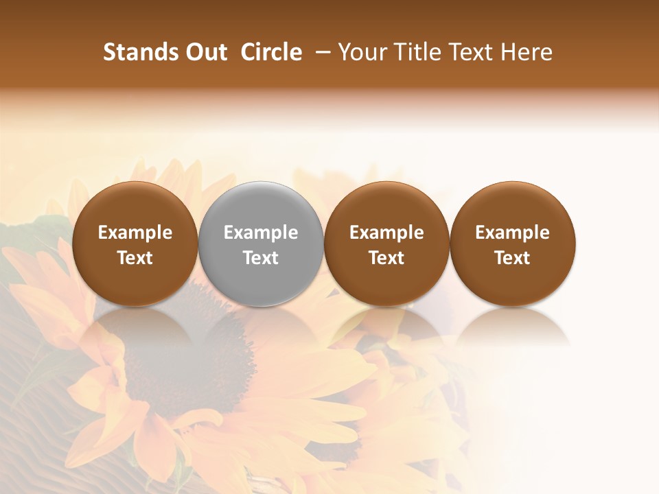 Figure Writing Conference PowerPoint Template