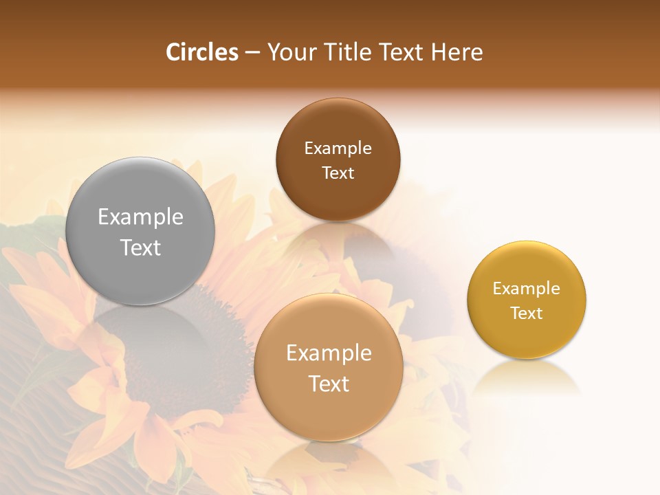Figure Writing Conference PowerPoint Template