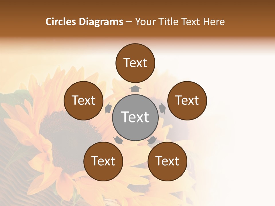 Figure Writing Conference PowerPoint Template