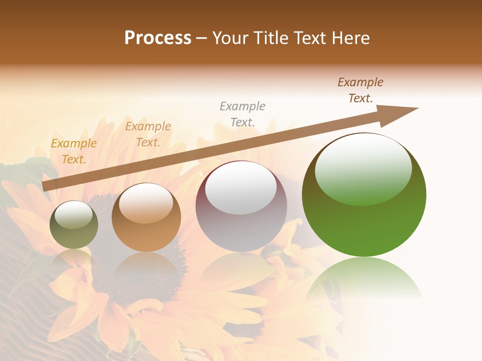 Figure Writing Conference PowerPoint Template