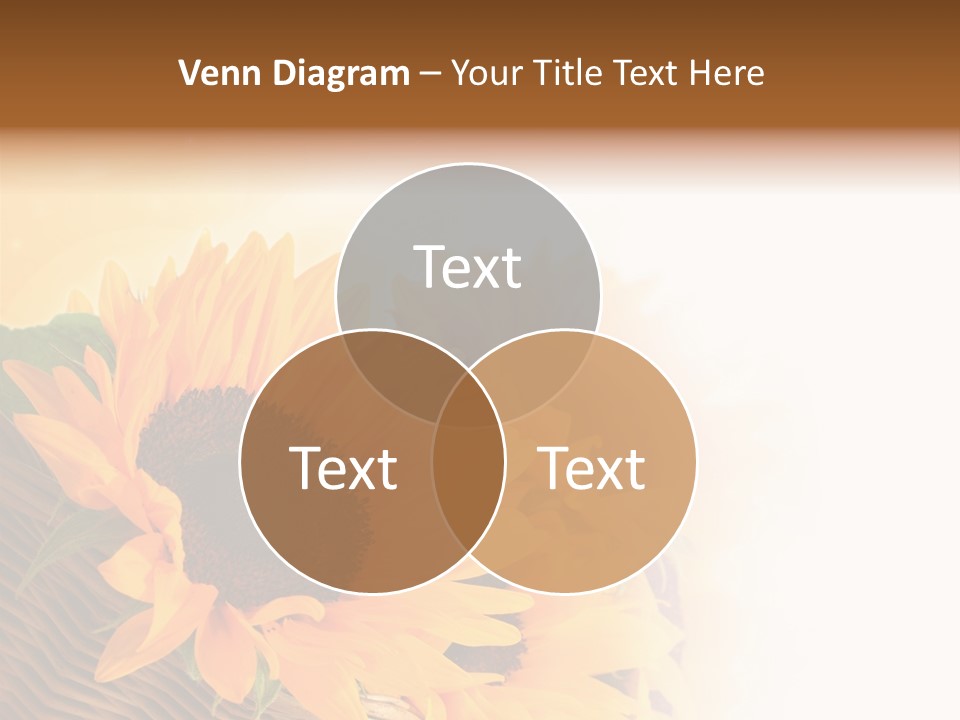 Figure Writing Conference PowerPoint Template