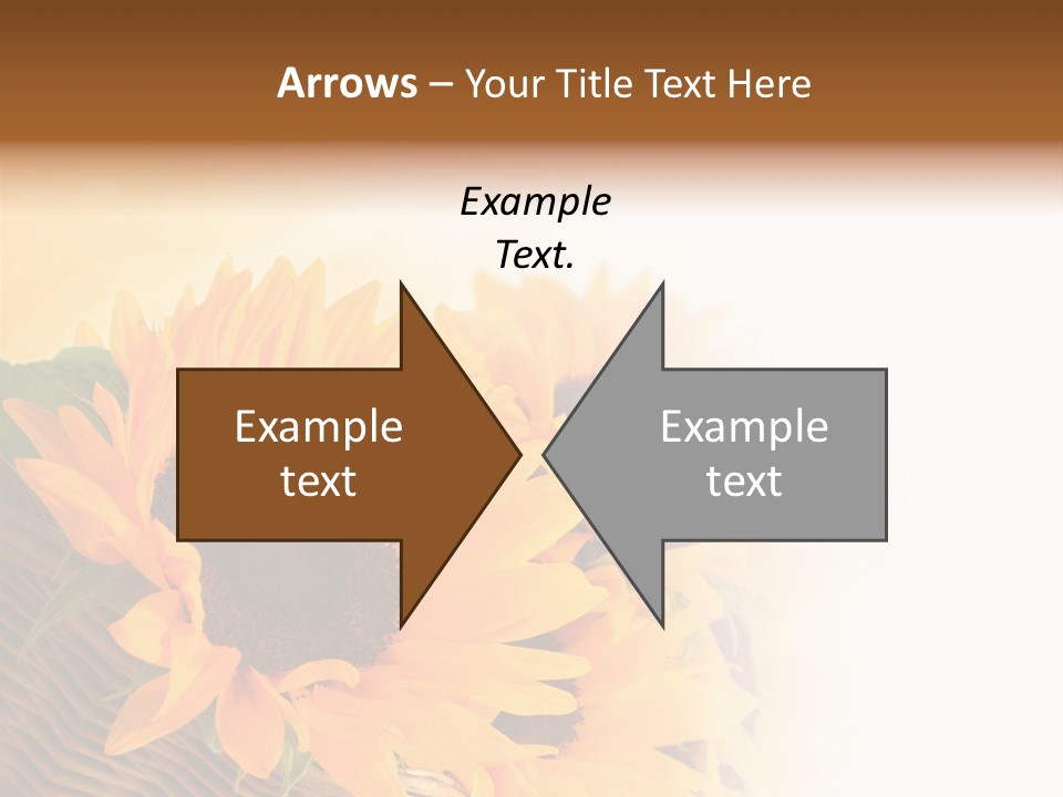 Figure Writing Conference PowerPoint Template