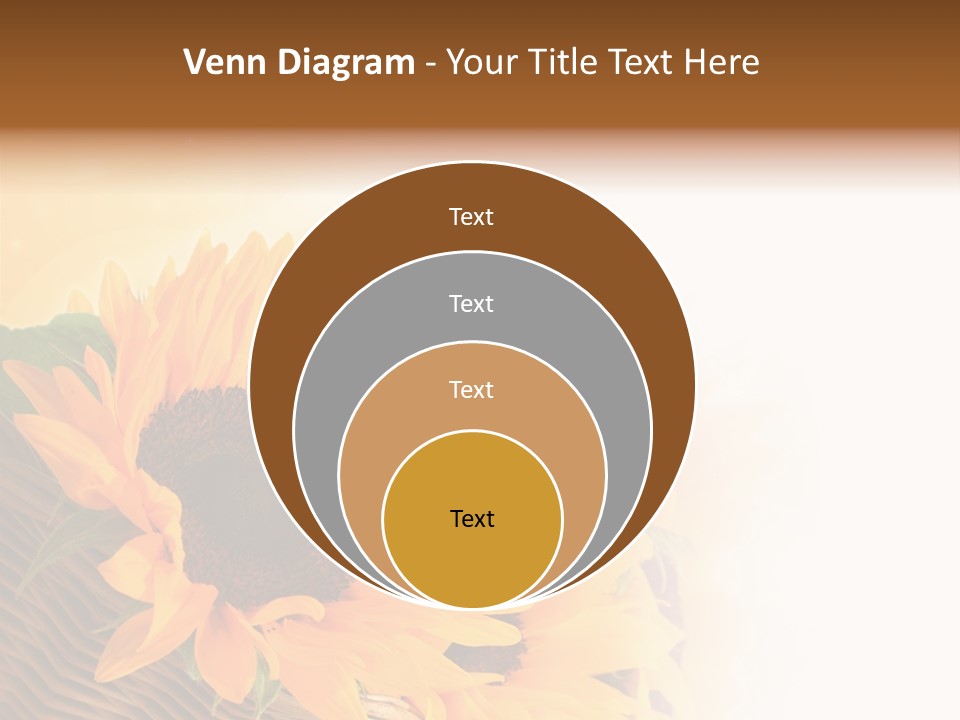 Figure Writing Conference PowerPoint Template