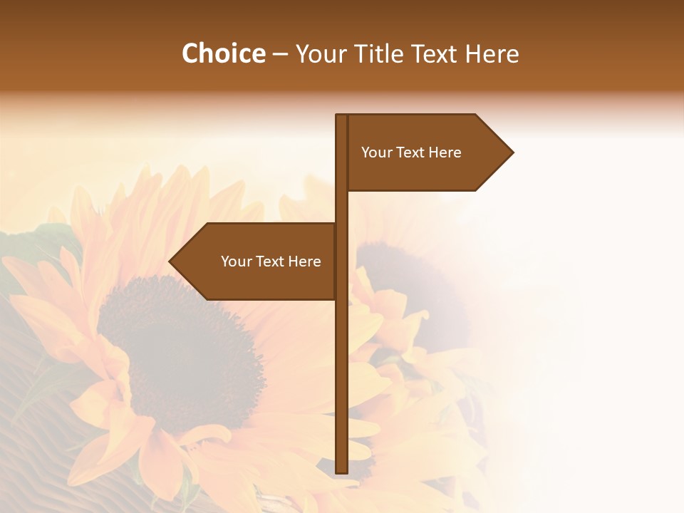 Figure Writing Conference PowerPoint Template