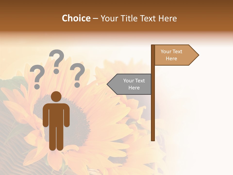 Figure Writing Conference PowerPoint Template