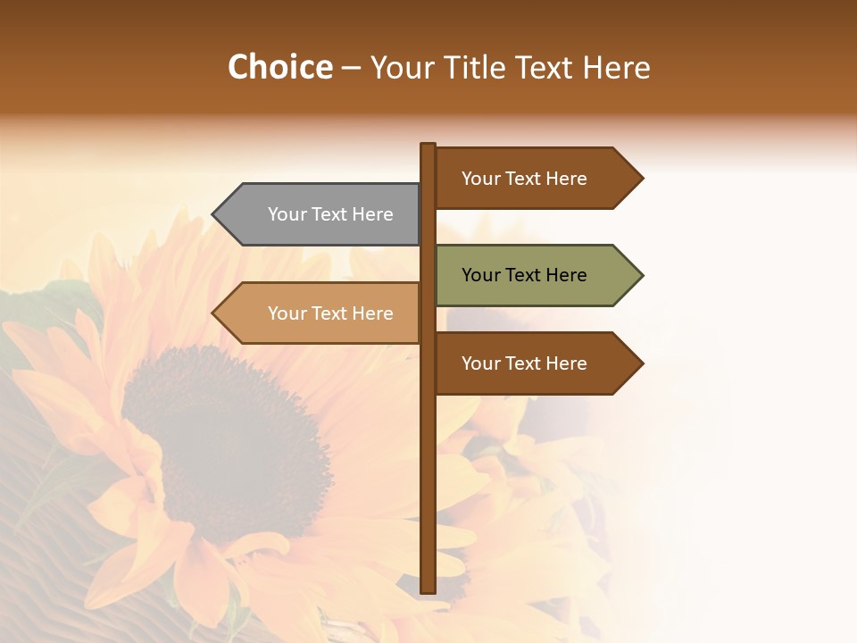 Figure Writing Conference PowerPoint Template