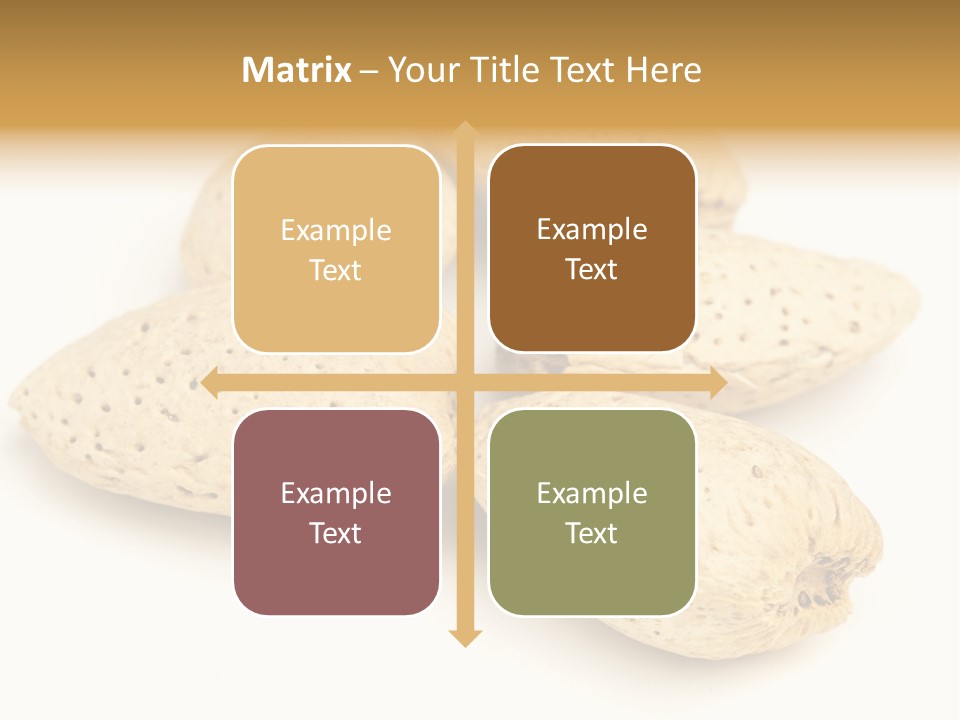 Energy Healthy Collection PowerPoint Template