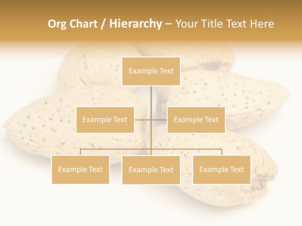 Energy Healthy Collection PowerPoint Template
