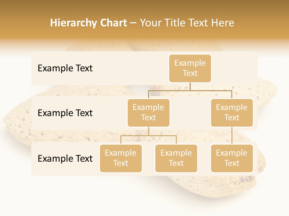 Energy Healthy Collection PowerPoint Template