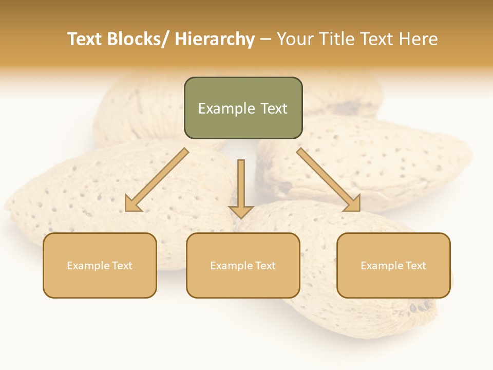 Energy Healthy Collection PowerPoint Template