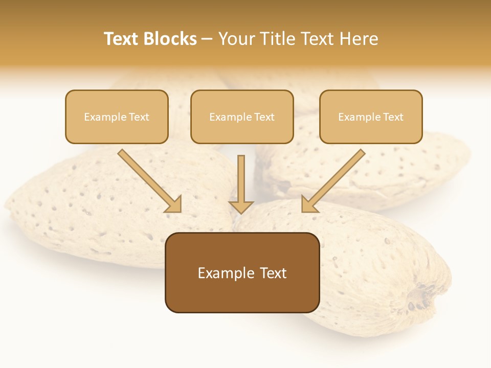 Energy Healthy Collection PowerPoint Template