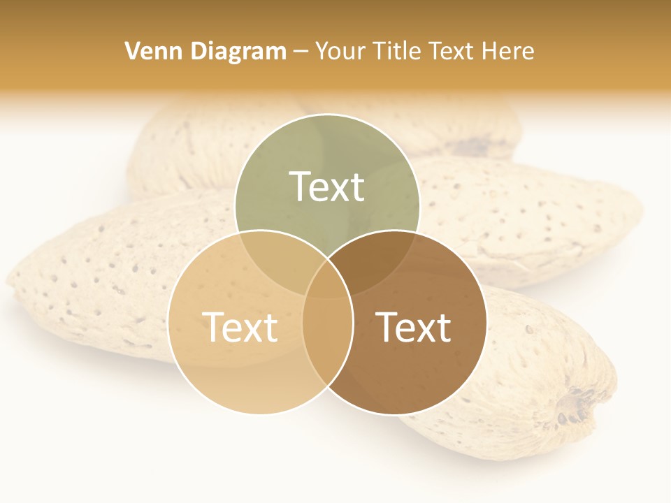 Energy Healthy Collection PowerPoint Template