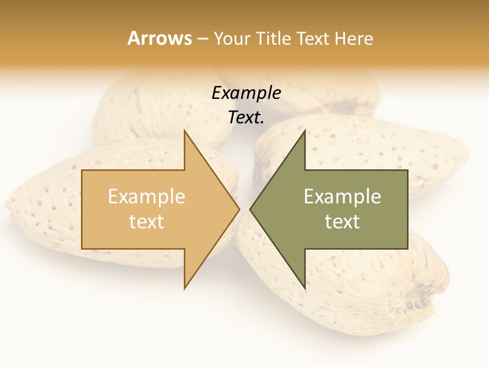 Energy Healthy Collection PowerPoint Template