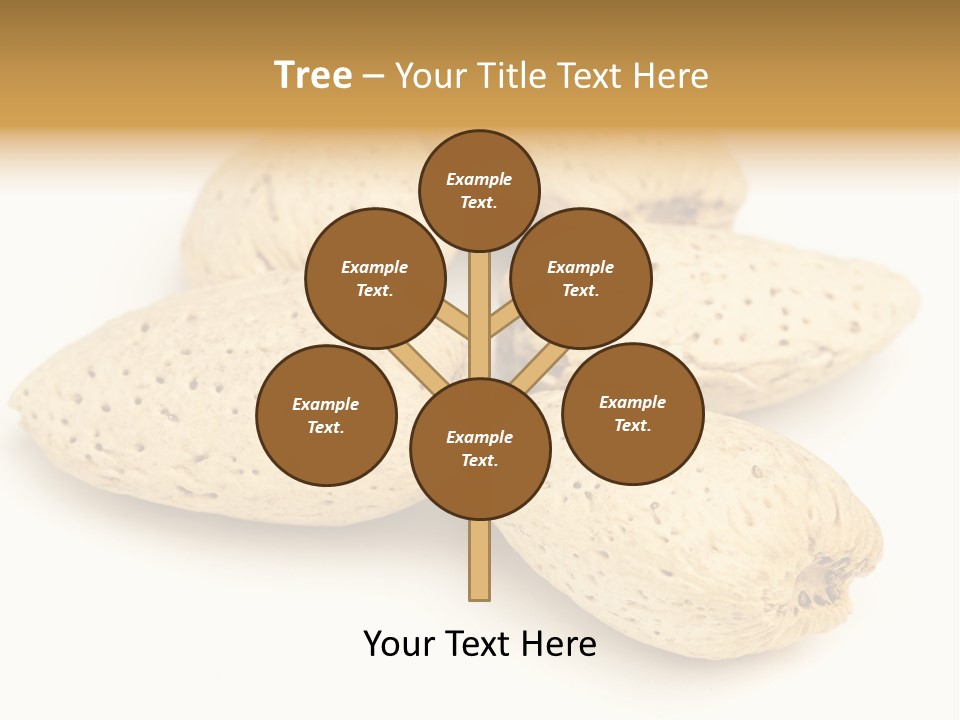 Energy Healthy Collection PowerPoint Template