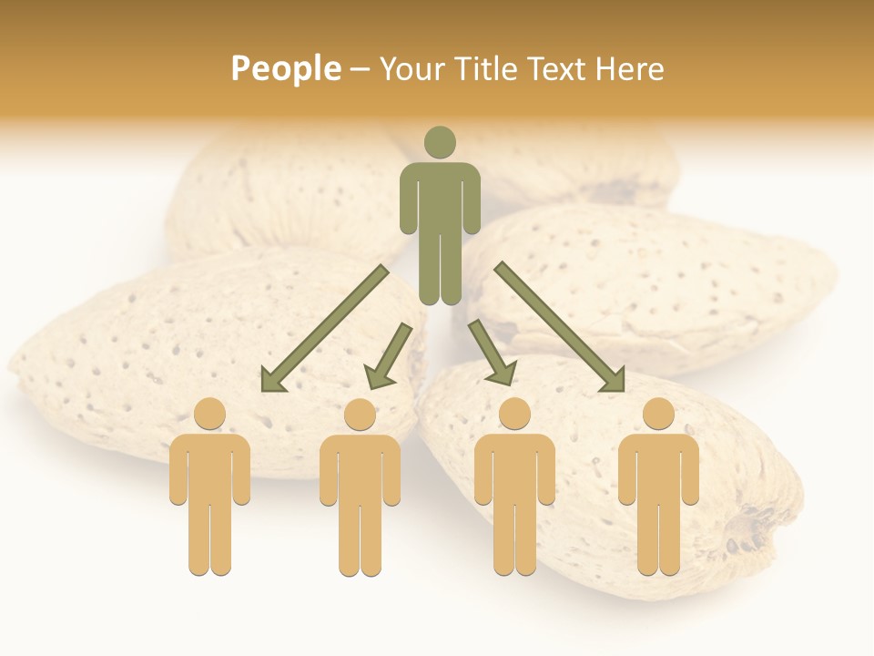 Energy Healthy Collection PowerPoint Template