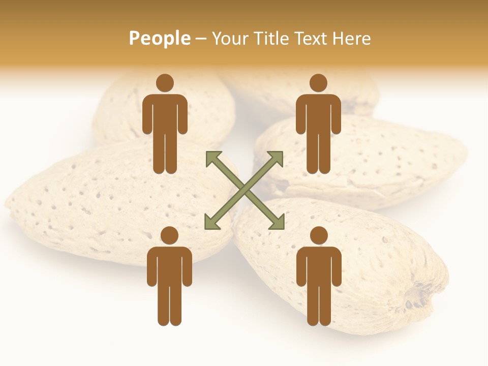 Energy Healthy Collection PowerPoint Template