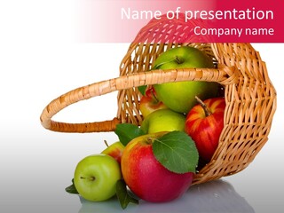 Color Group Nature PowerPoint Template