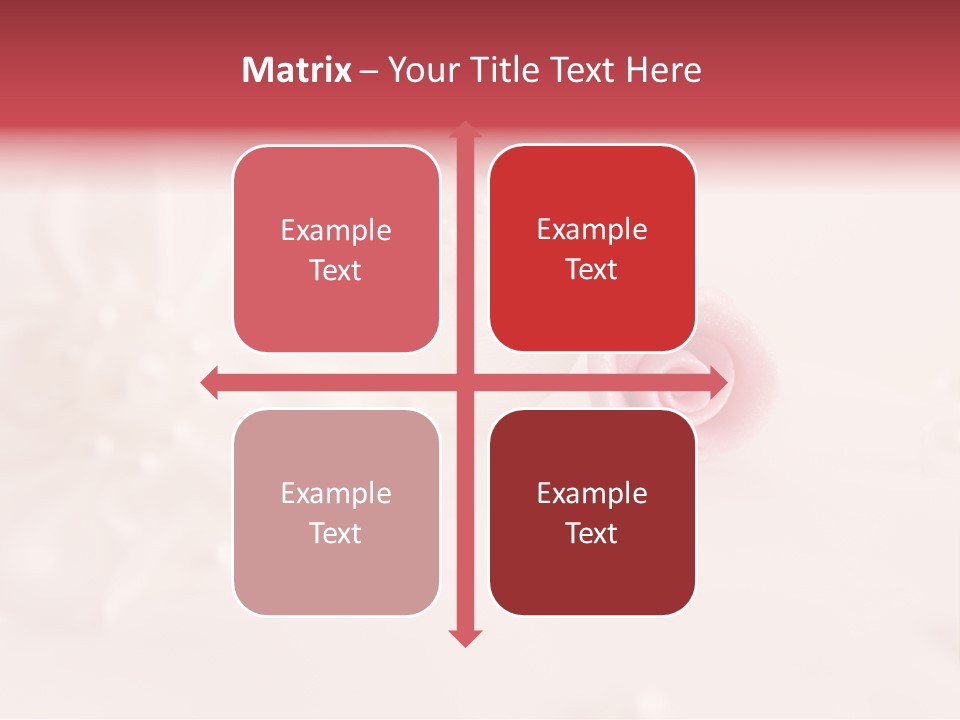 Flowers Macro Wedding PowerPoint Template