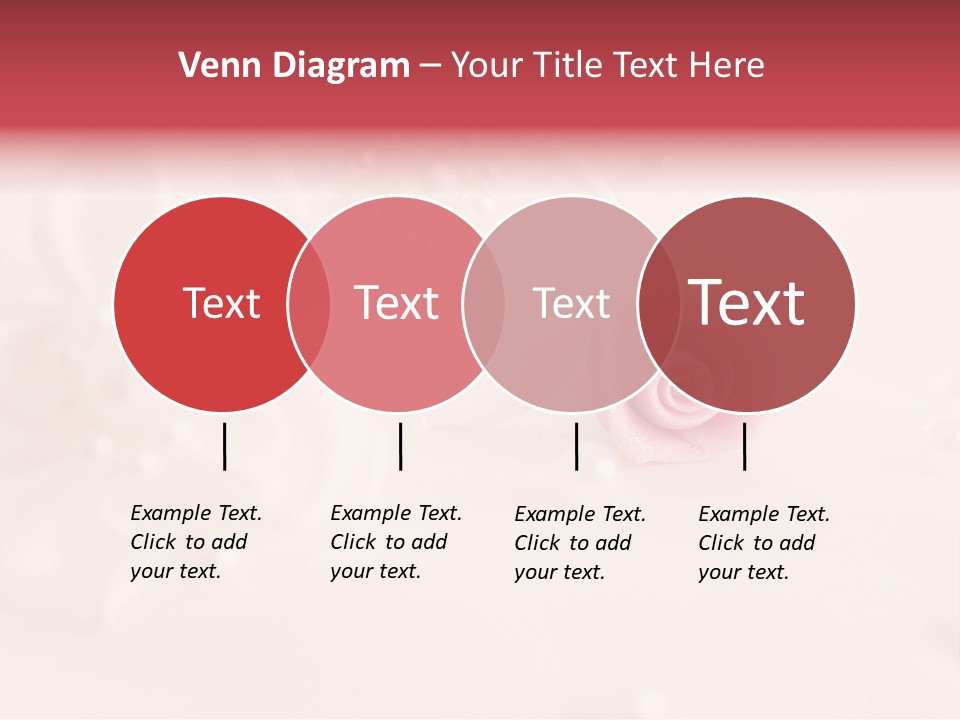 Flowers Macro Wedding PowerPoint Template