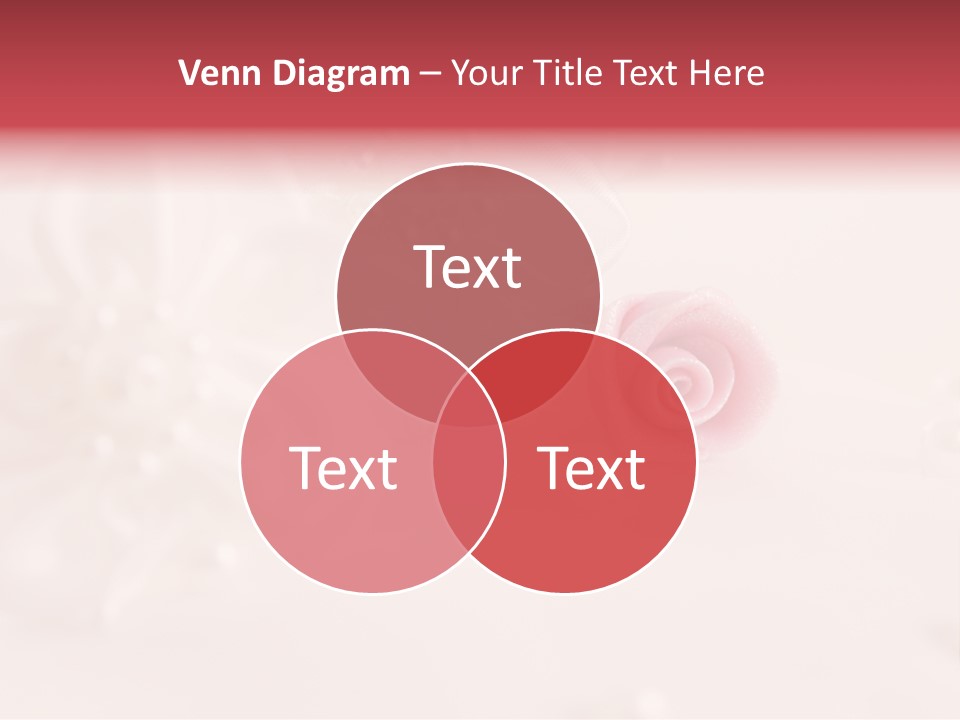 Flowers Macro Wedding PowerPoint Template