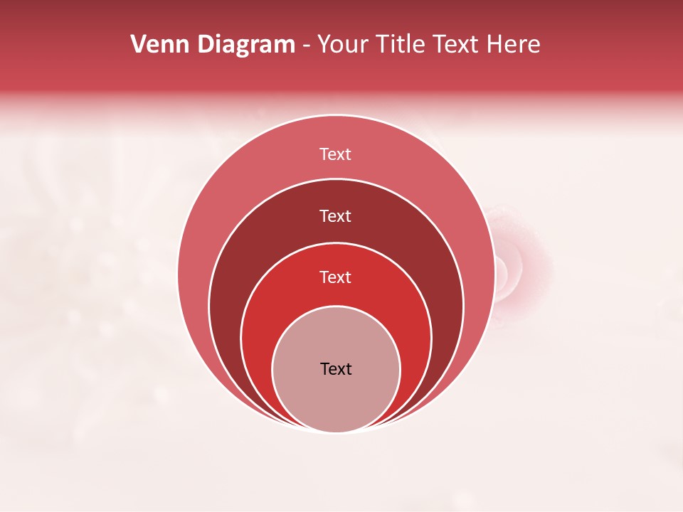 Flowers Macro Wedding PowerPoint Template