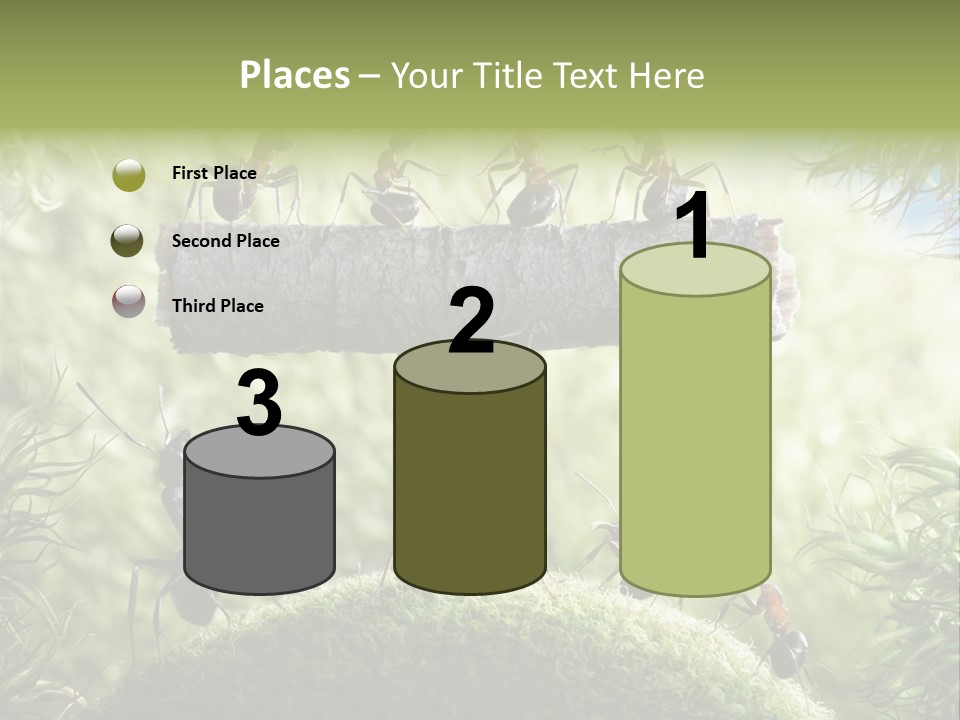 Heavy Clo Eup Fairytale PowerPoint Template