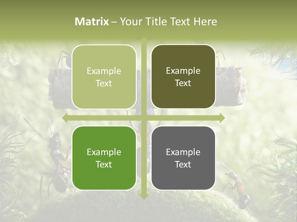 Heavy Clo Eup Fairytale PowerPoint Template