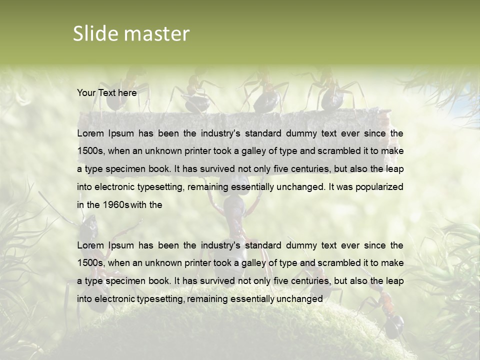 Heavy Clo Eup Fairytale PowerPoint Template