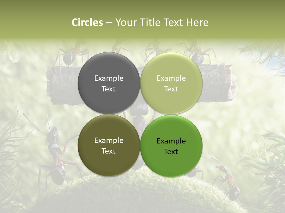 Heavy Clo Eup Fairytale PowerPoint Template