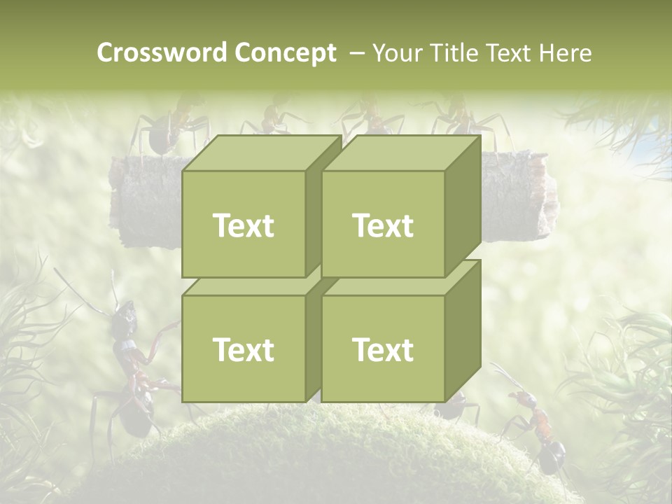 Heavy Clo Eup Fairytale PowerPoint Template